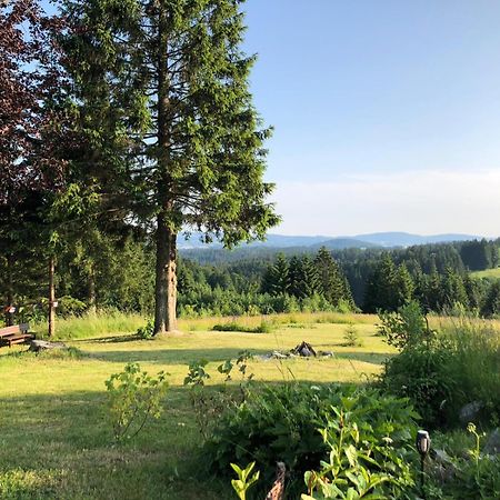 Dreisessel Motel Haidmühle Buitenkant foto